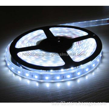 12V white 5050 strip light